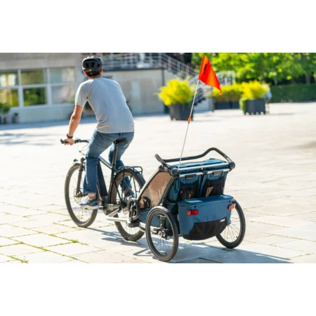 Remorque Cross 2 Pour 2 Enfants THULE : Comparateur, Avis, Prix 3 Remorque Cross 2 Pour 2 Enfants THULE : Comparateur, Avis, Prix